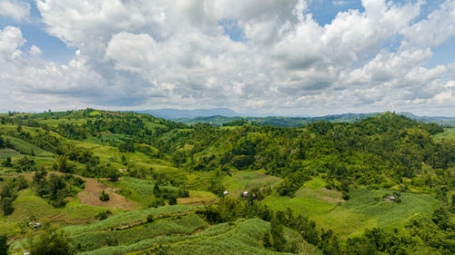 Rice plantations and farmland from the tropics. negros, philippines