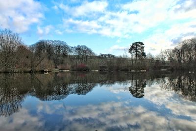 Reflection of trees in lake against sky