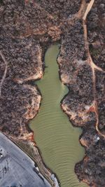 High angle view of river amidst trees