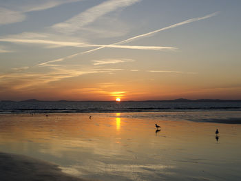 Scenic view of sea against orange sky