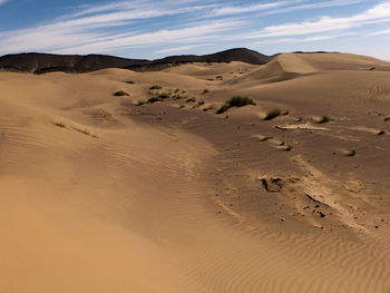 Sand dunes in desert