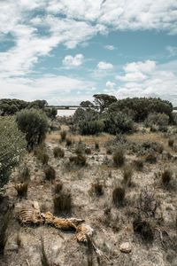 Scenic view of landscape against cloudy sky