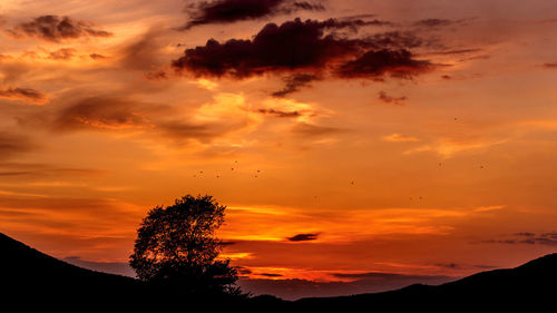 Silhouette of tree against dramatic sky