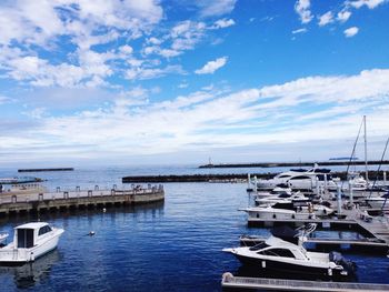 Boats in harbor