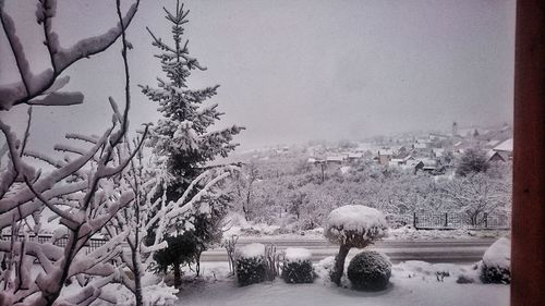 High angle view of bare trees in winter