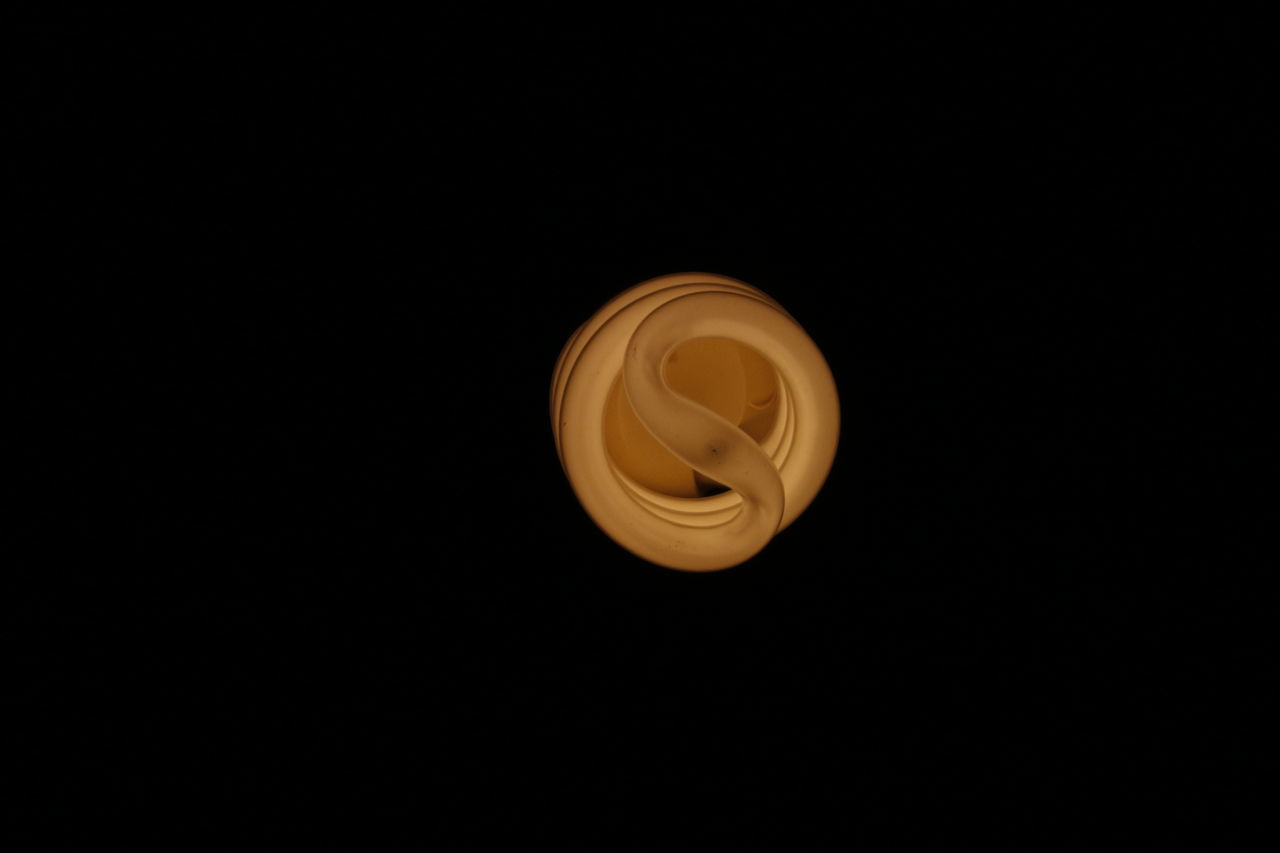 CLOSE-UP OF WHITE ROSE AGAINST BLACK BACKGROUND