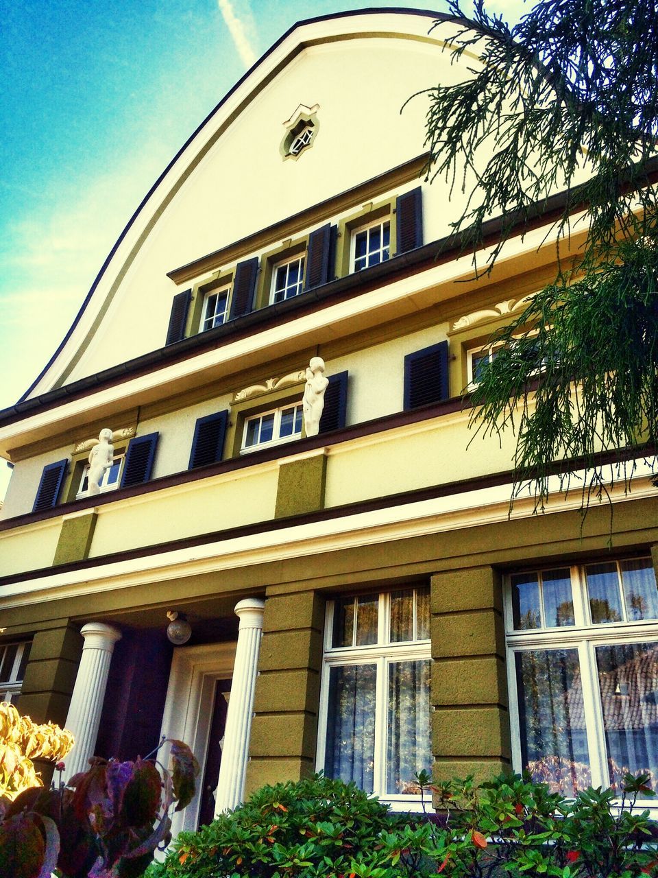 building exterior, architecture, built structure, window, low angle view, tree, residential building, residential structure, building, balcony, house, facade, city, sky, day, outdoors, apartment, growth, no people, glass - material