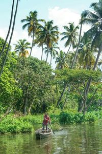 Palm trees by calm sea