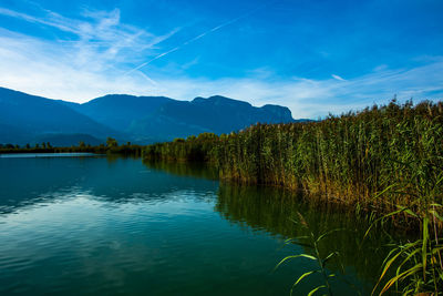 Photograph of a summer morning at lake caldaro in bolzano, italy