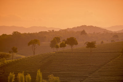 Scenic view of landscape against sky during sunset