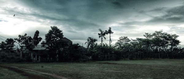 Trees on field against cloudy sky