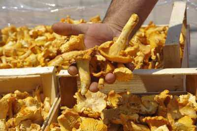 Close-up of hand holding food