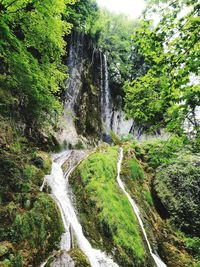 Scenic view of waterfall in forest