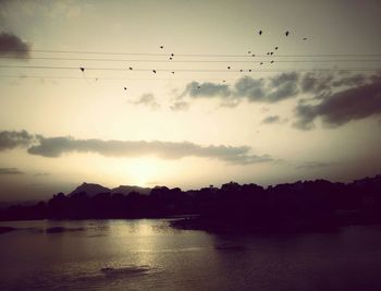 Flock of birds flying over sea