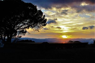 Silhouette tree against sky during sunset