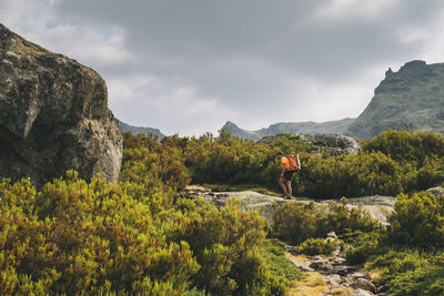 A young man with backpack hikes up in sierra de gredos, avila, spain,