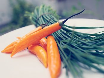 High angle view of vegetables in plate on table