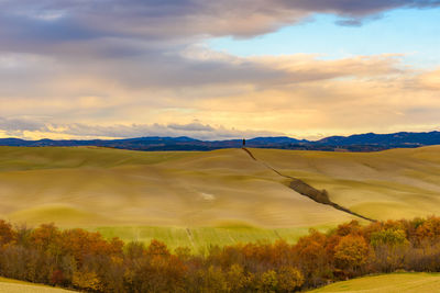 Scenic view of field against sky during sunset