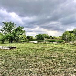 Scenic view of field against sky