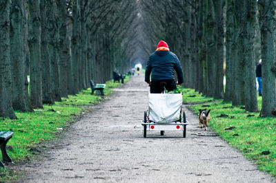 Rear view of siblings walking on road in forest