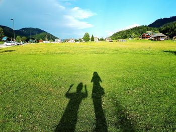 Shadow of tree on field against sky