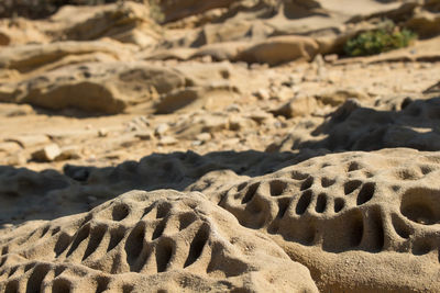 Close-up of sand dunes at beach