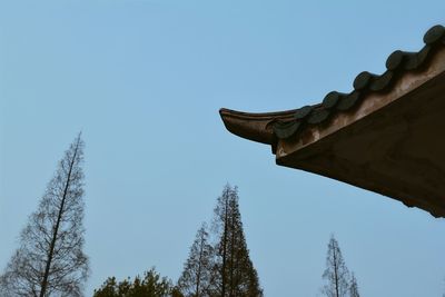 Close-up of palm tree with sky in background