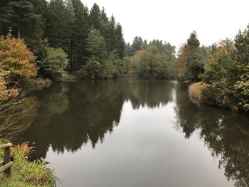 Reflection of trees in lake against sky