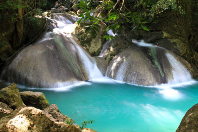 Scenic view of waterfall in forest