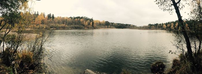 Scenic view of lake in forest against sky