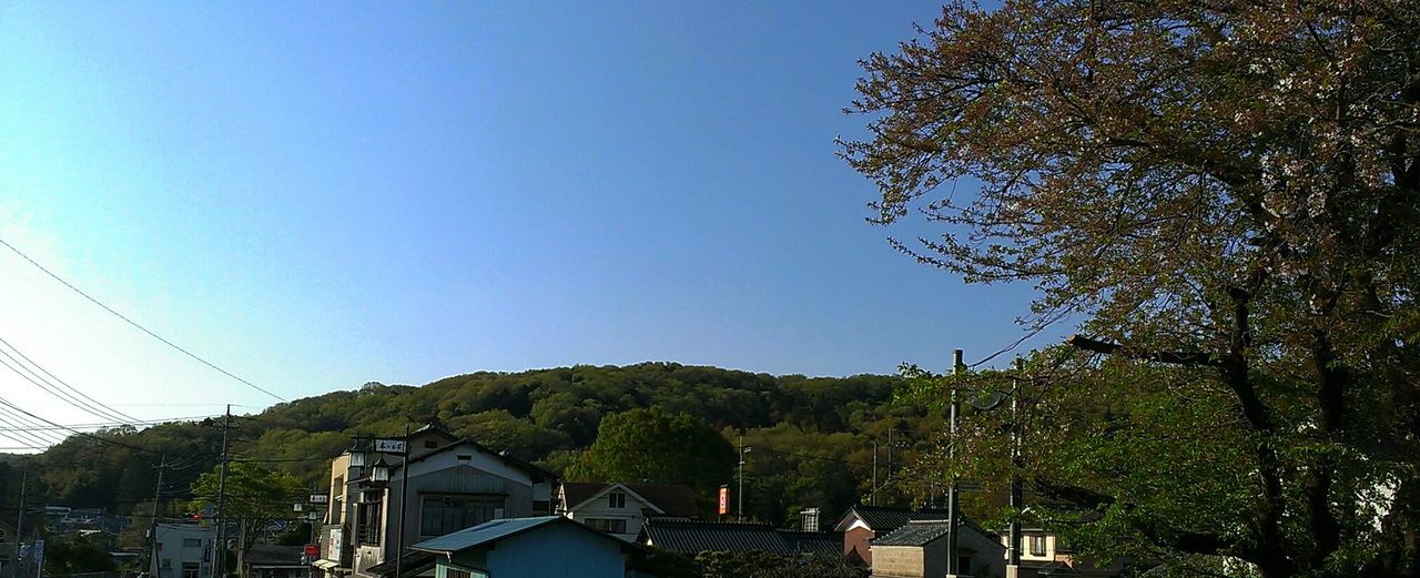 tree, clear sky, copy space, blue, built structure, building exterior, architecture, house, mountain, nature, transportation, scenics, car, sky, tranquility, outdoors, beauty in nature, growth, town, road