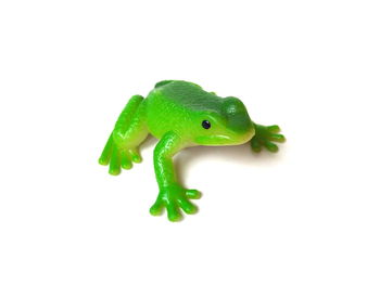 Close-up of green frog against white background