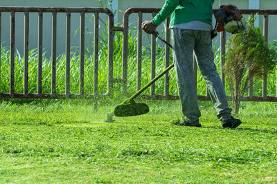 Low section of man standing by plants