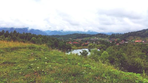 Scenic view of landscape against sky