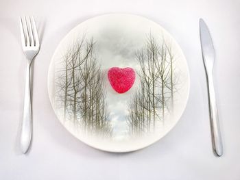 Directly above shot of heart shape in plate on table