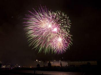 Fireworks exploding in night sky