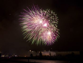 Firework display in clear sky at night