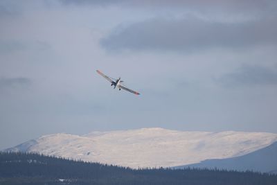 Low angle view of airplane flying in sky