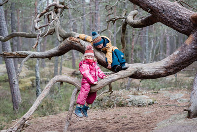 Two kids climbing trees together outside in sweden in winter