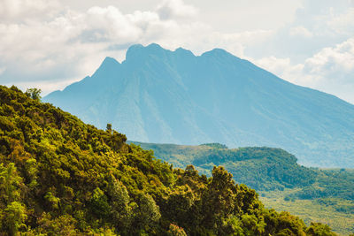 Mount sabyinyo seen from mount muhabura in the mgahinga gorilla national park, virungas, uganda
