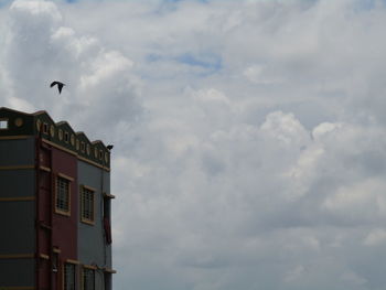 Low angle view of seagull flying against sky