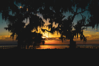 Silhouette trees by sea against orange sky