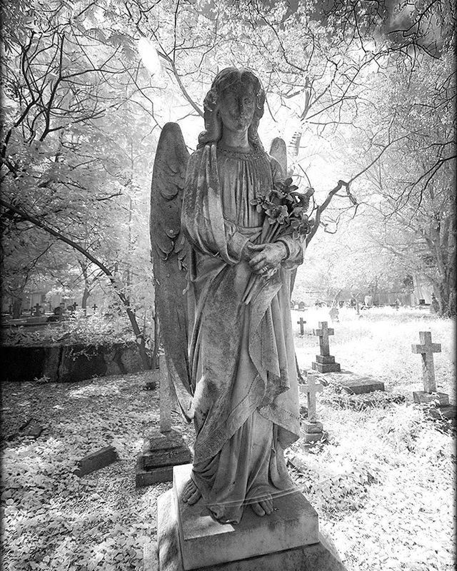 statue, sculpture, human representation, art and craft, art, creativity, tree, carving - craft product, cemetery, memorial, religion, park - man made space, travel destinations, death, spirituality, animal representation, craft, tombstone