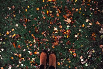 Low section of person standing on field during autumn