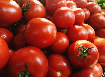 Close-up of tomatoes