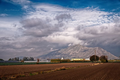 Scenic view of agricultural field against sky