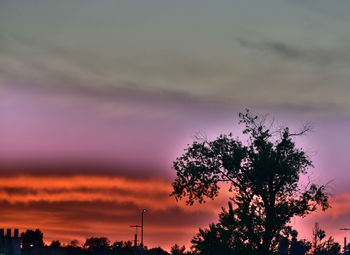 Silhouette of tree against cloudy sky