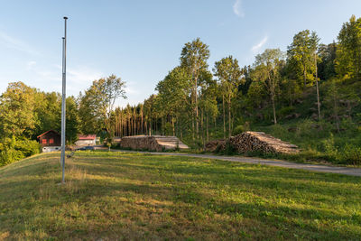 Trees on field against sky