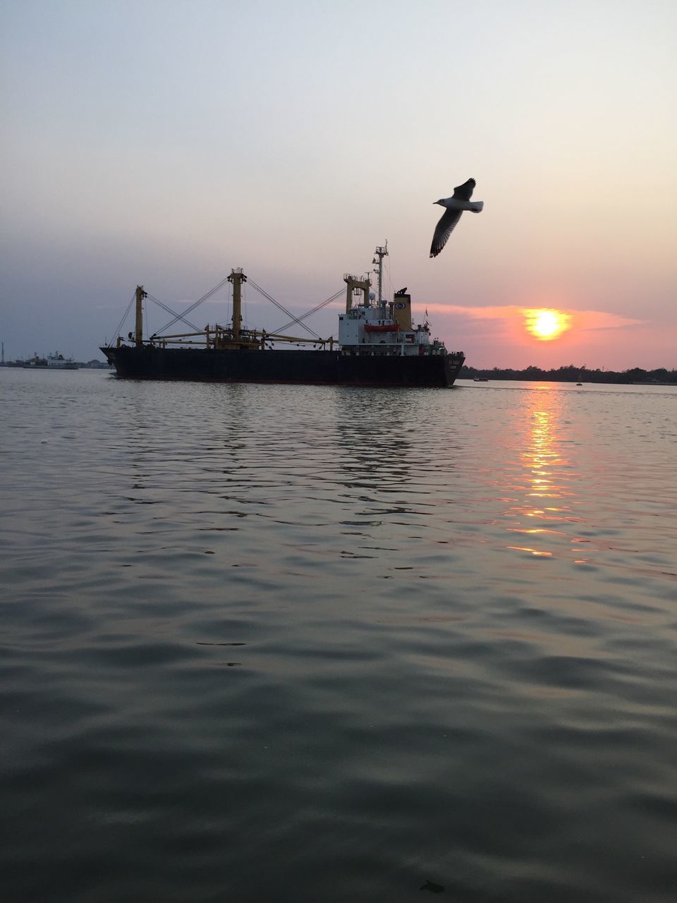 sunset, sun, water, sea, orange color, silhouette, sky, waterfront, transportation, scenics, beauty in nature, nautical vessel, bird, tranquility, reflection, tranquil scene, nature, idyllic, mode of transport, sunlight