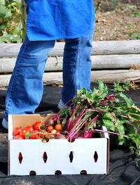 Low section of man standing by plant